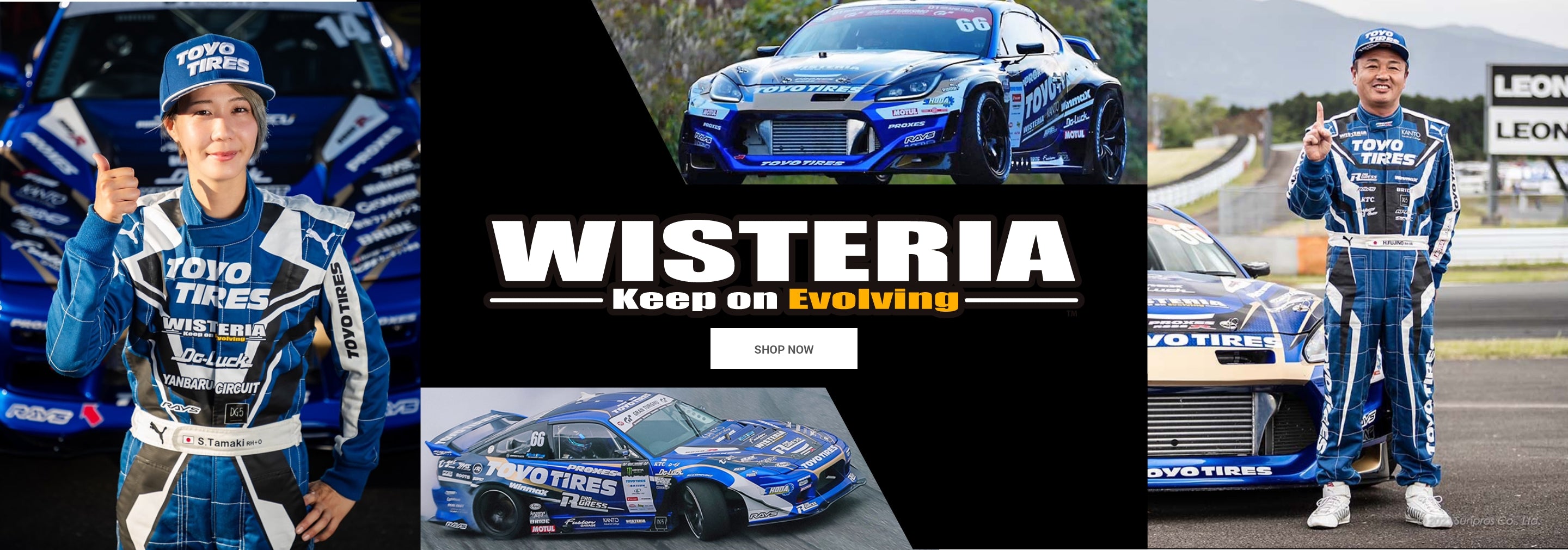 WISTERIA Keep on Evolving