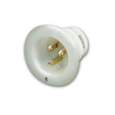 Longacre 52-45662 110V Flange Mount Connection