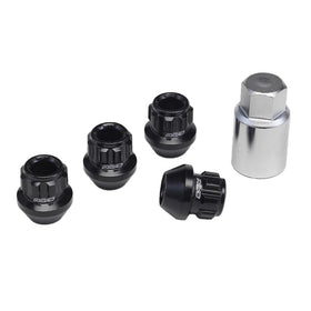 RAYS 17HEX RACING LOCK NUT SET L25 LONG TYPE