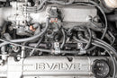 デリバリーパイプ Mitsubishi Early 4G63用