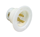 Longacre 52-45662 110V Flange Mount Connection