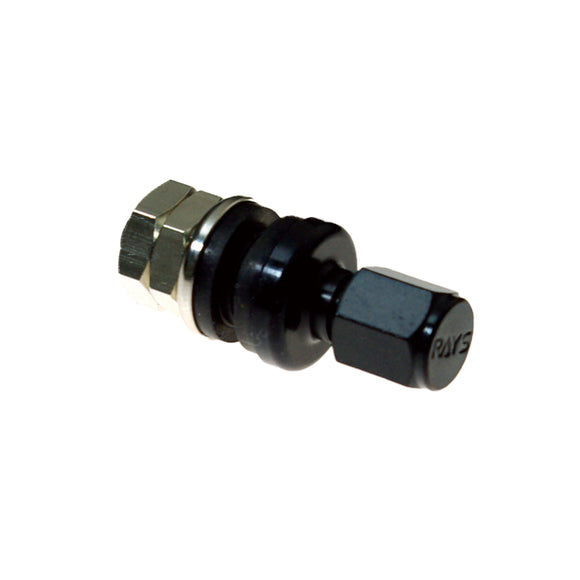 RAYS No.41 INSIDE AIR VALVE RAYS (OLD) BK