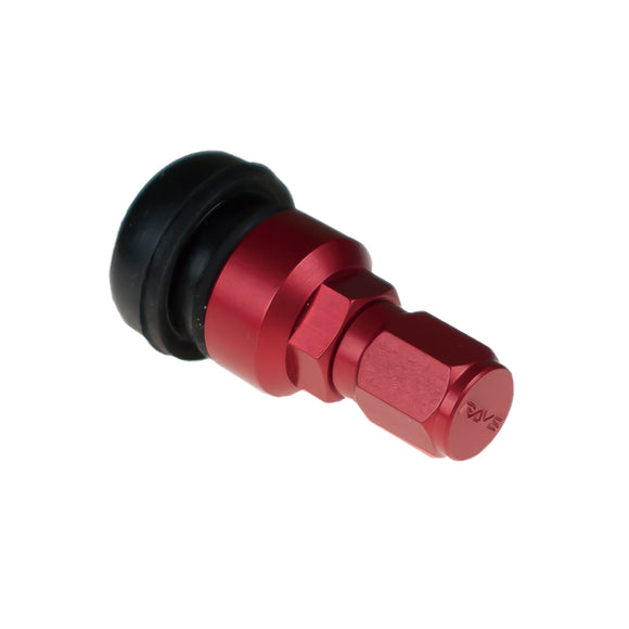 RAYS No.55 HB1 AIR VALVE RD